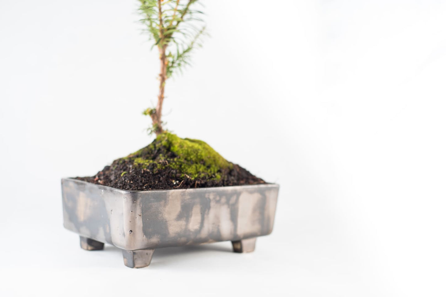 Maceta Cerámica Bonsai marron metalizado