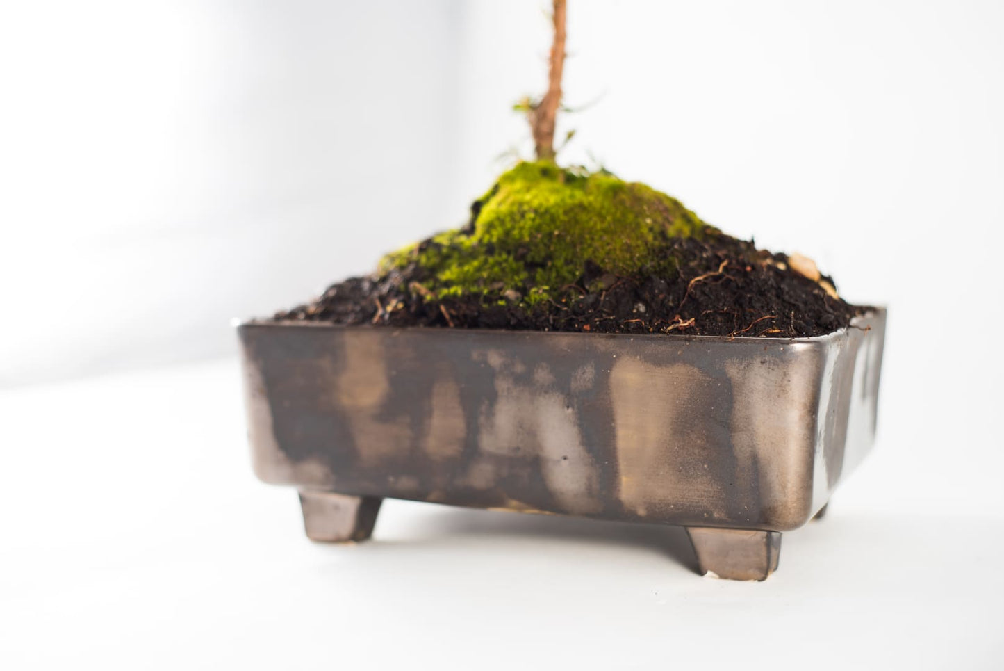 Maceta Cerámica Bonsai marron metalizado